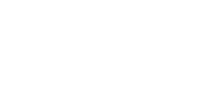 The Little Bird logo